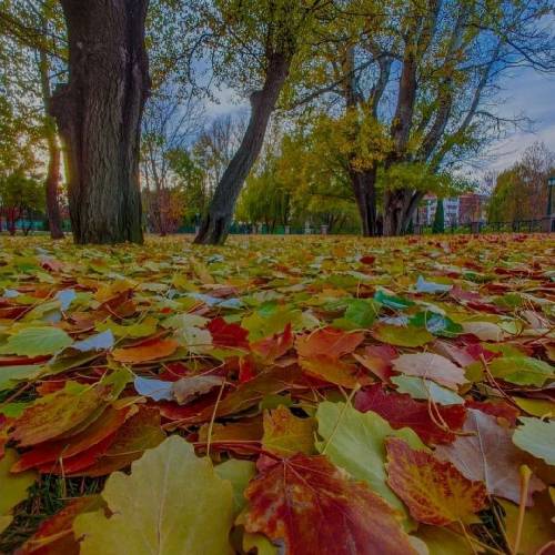 با صدای زن نامرده رفیق دل راز نمونه